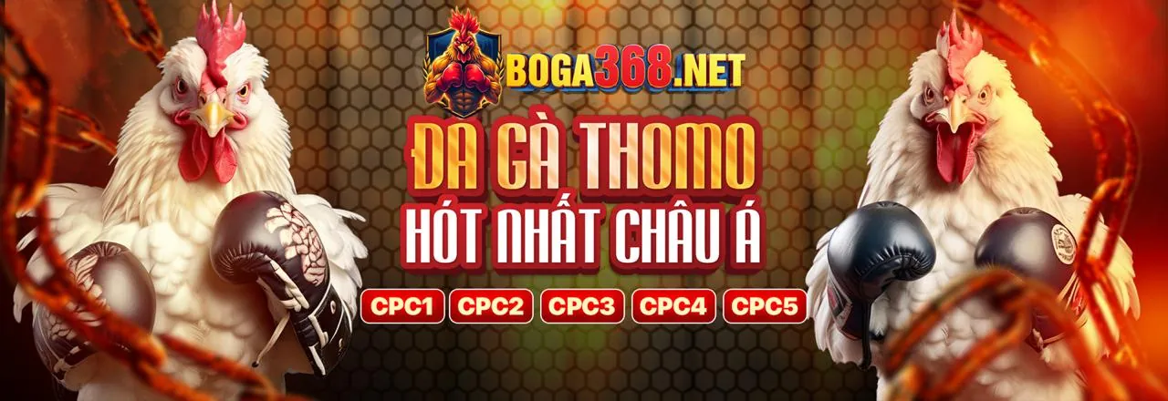 Hình ảnh đại diện về WIN69 trang chủ chính thức